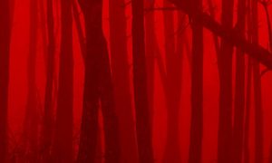 atau-la-sega-e1485377790647-300x180