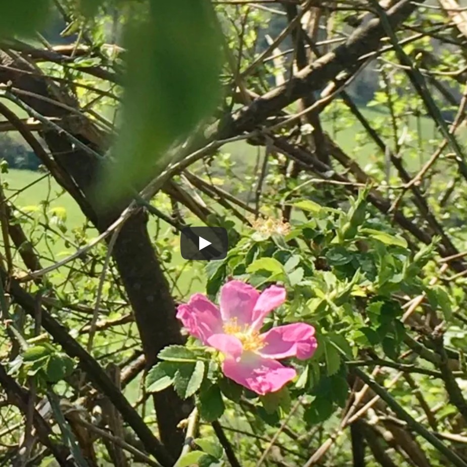 En Ondas setm. 15 La 3au&nbsp;revolucion