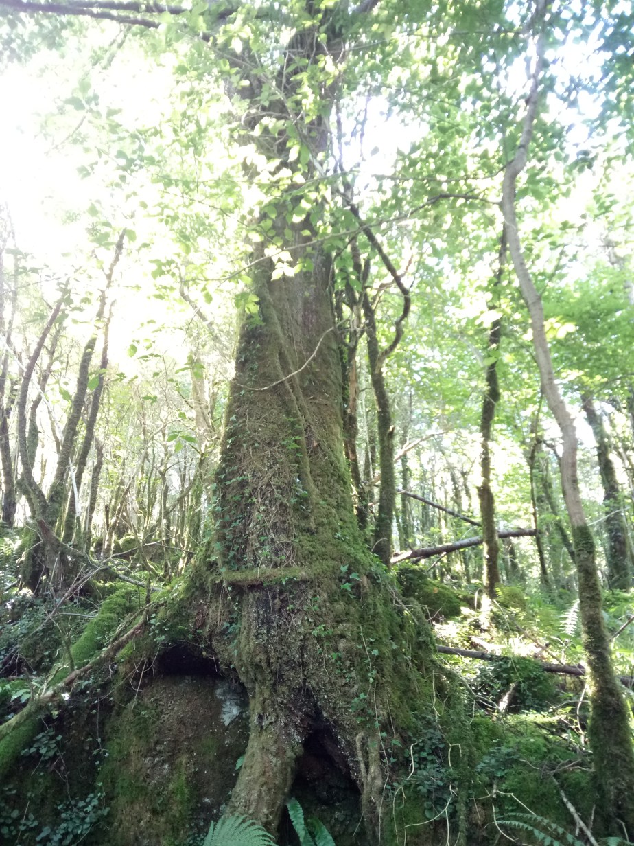 En Ondas setm. 23 J.-L. Fauthoux | A.&nbsp;Pochelu