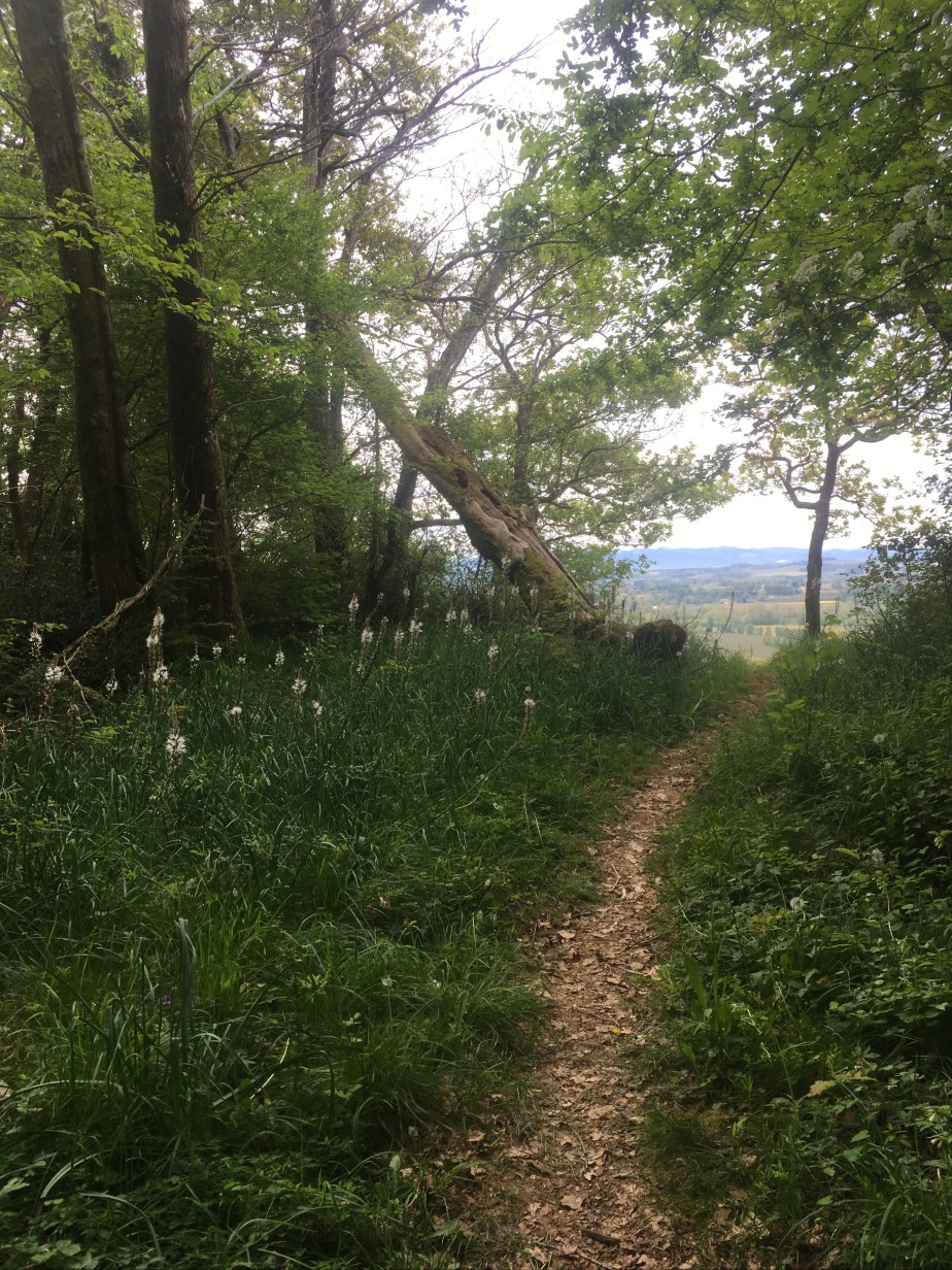 Per un estiu&nbsp;frutèc