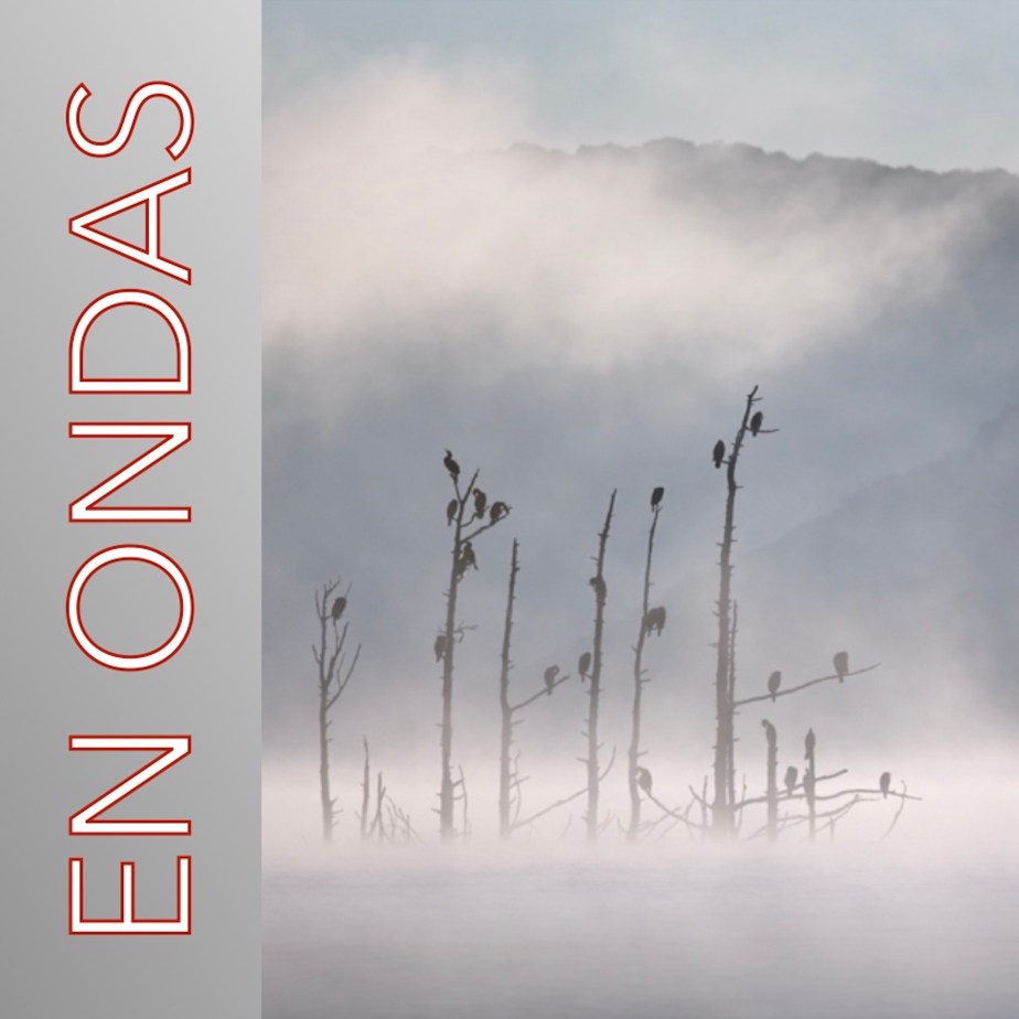 En Ondas setm. 44 La Traversée des&nbsp;brumes