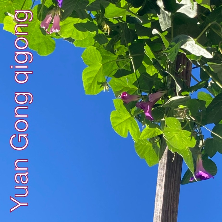 Yuan Gòng qigòng, pòdcast de Domenja&nbsp;(3)