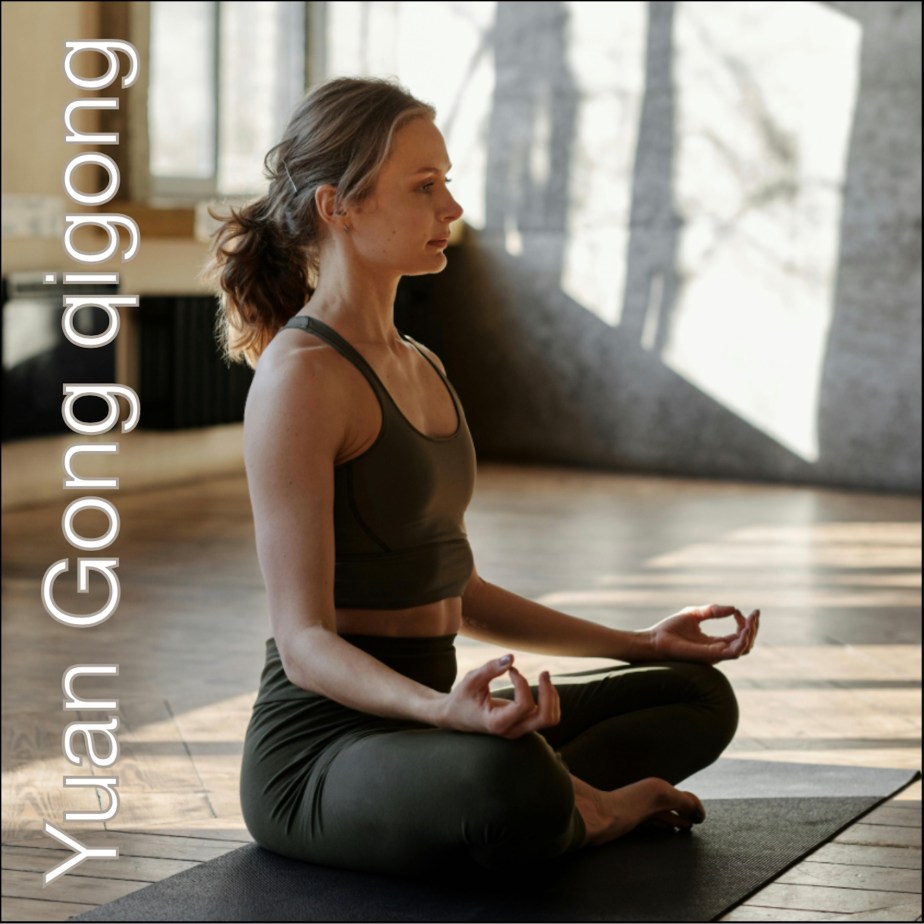 Yuan Gòng qigòng, pòdcasts Domenja&nbsp;(23)